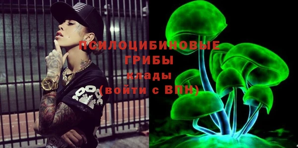 PSILOCYBIN Волоколамск