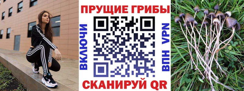 Галлюциногенные грибы мицелий  Чёрмоз 